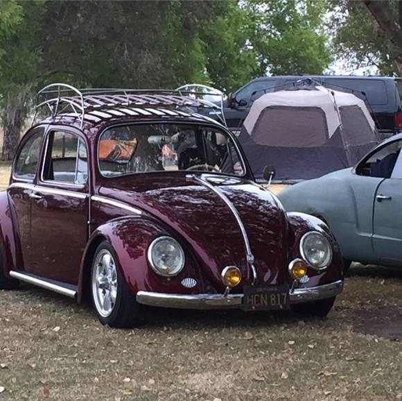 Meet your Posher, Carlos - Picture 1 of 1